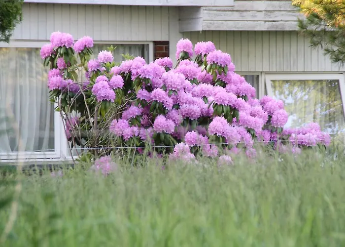 Slukefter & Hogelund