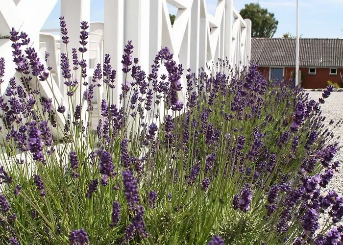 Slukefter & Hogelund