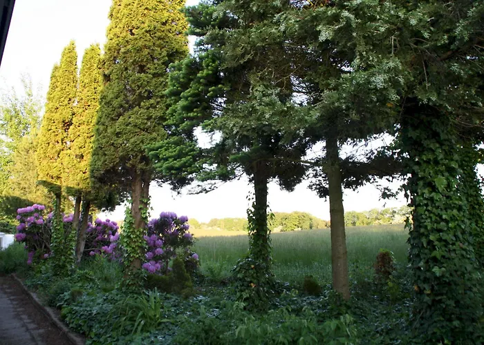 Slukefter & Zajazd Hogelund